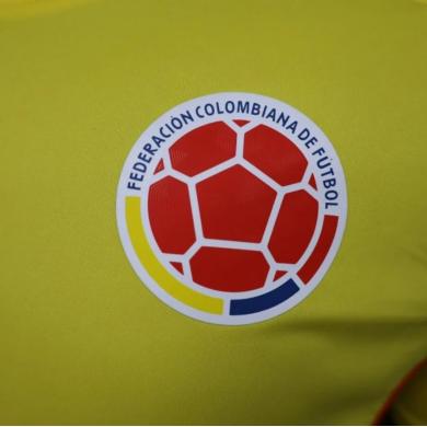 Camiseta Colombia Primera Equipación Authentic 2024