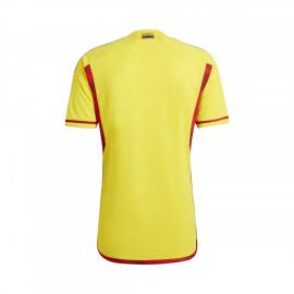 Camiseta Colombia Primera Equipación Mundial Qatar 2022