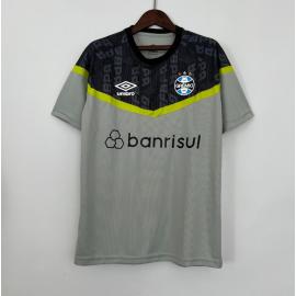 Camiseta Gremio Pre-Match 23/24