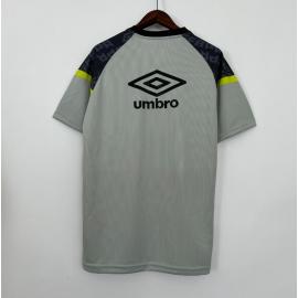 Camiseta Gremio Pre-Match 23/24