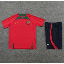 Camiseta Fc Portugal Pre-Match 23/24 + Pantalones