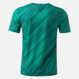 Camiseta Northern Ireland Euro 1ª Equipación 2020/2021