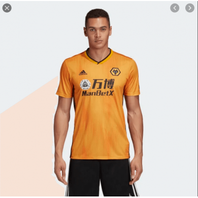 Camiseta Primera Equipación Wolverhampton Wanderers Fc