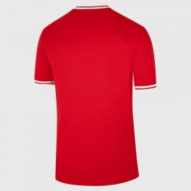 Camiseta Polonia Primera Equipación Mundial Qatar 2022