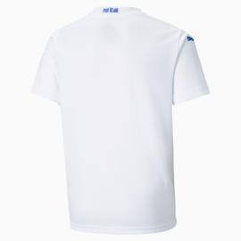 Camiseta 2a Equipación ISLANDIA 2020