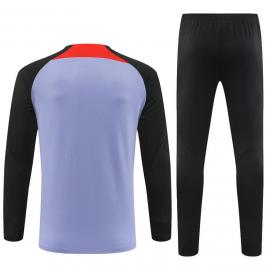 Sudadera Entrenamiento FC Liverpool Violeta 22/23 Niño