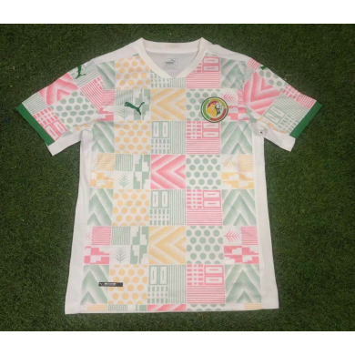 Camiseta Senegal Primera Equipación 2021